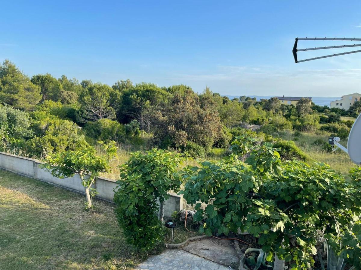 Apartment Bagic Vir Esterno foto